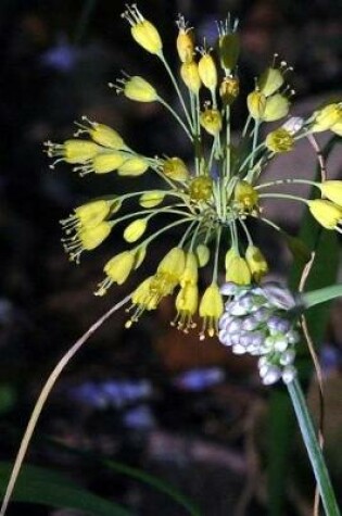 Cover of Allium Flavum Yellow and Allium Carinatum Purple Journal