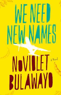 Book cover for We Need New Names
