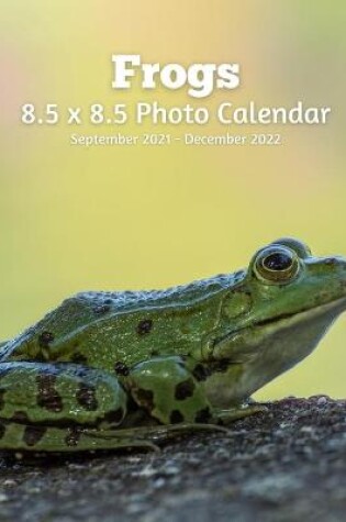 Cover of Frogs 8.5 X 8.5 Photo Calendar September 2021 -December 2022