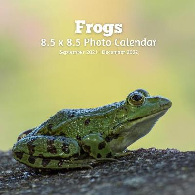 Book cover for Frogs 8.5 X 8.5 Photo Calendar September 2021 -December 2022