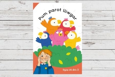 Book cover for Dyna Chi Dric: Pum Parot Lliwgar