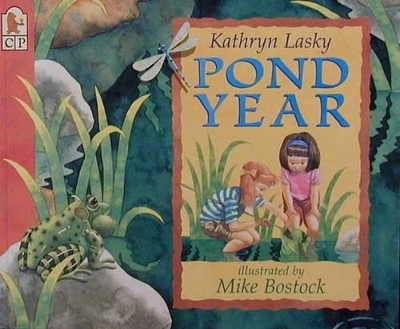 Book cover for Pond Year