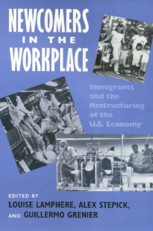 Cover of Newcomers In Workplace