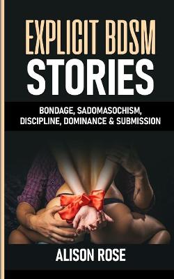 Book cover for Explicit Bdsm Stories