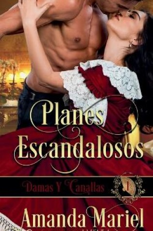 Cover of Planes escandalosos