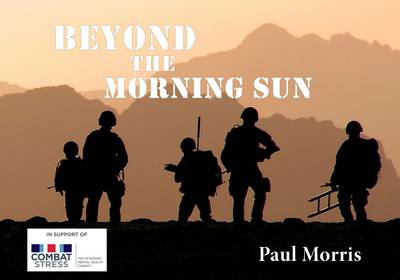 Book cover for Beyond the Morning Sun