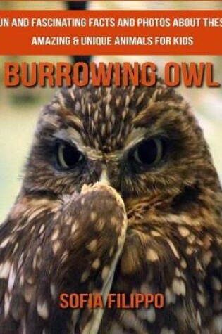 Cover of Burrowing Owl