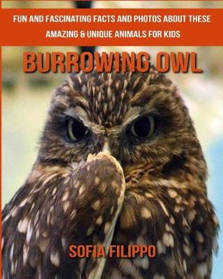 Book cover for Burrowing Owl