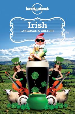 Book cover for Lonely Planet Irish Language & Culture