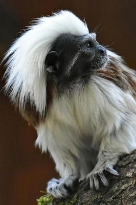 Cover of Cotton-Top Tamarin Monkey Journal