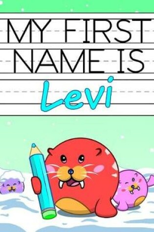 Cover of My First Name Is Levi