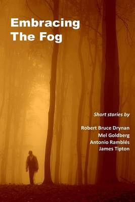 Book cover for Embracing The Fog