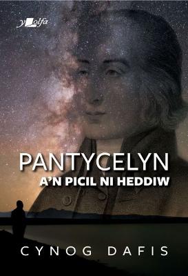 Book cover for Pantycelyn a'n Picil Ni Heddiw