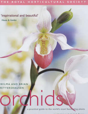 Book cover for RHS Orchids