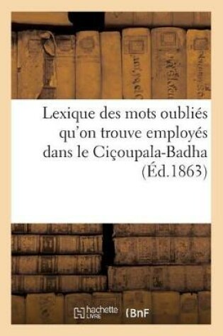 Cover of Lexique Des Mots Oublies Soit Dans Les Dictionnaires de Wilson, Bopp, Bothlingk Et Roth