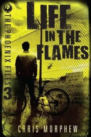 Cover of Life In The Flames