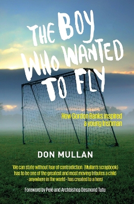 Book cover for The Boy Who Wanted To Fly