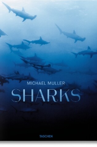Cover of Michael Muller. Sharks