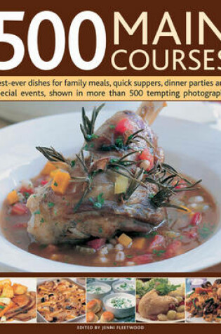 Cover of 500 Main Courses