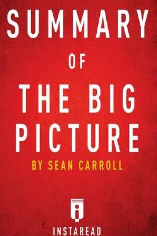 Cover of Summary of the Big Picture