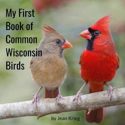 Book cover for My First Book of Common Wisconsin Birds
