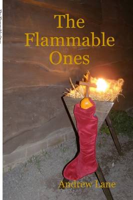 Book cover for The Flammable Ones