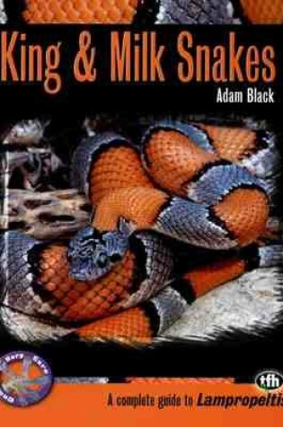 Cover of King and Milk Snakes