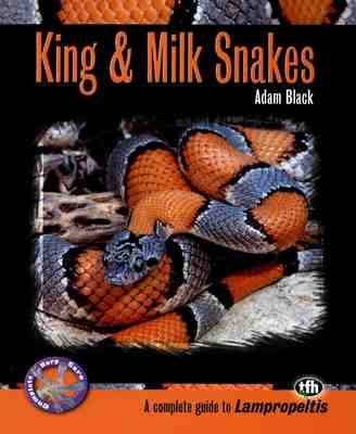 Book cover for King and Milk Snakes