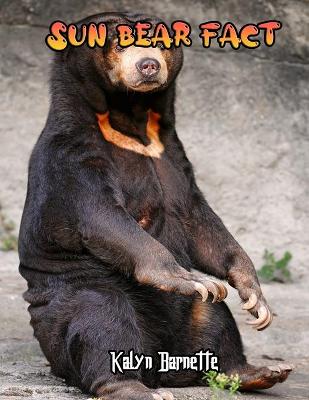 Book cover for Sun Bear Fact