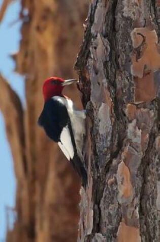 Cover of Red-Headed Woodpecker Journal