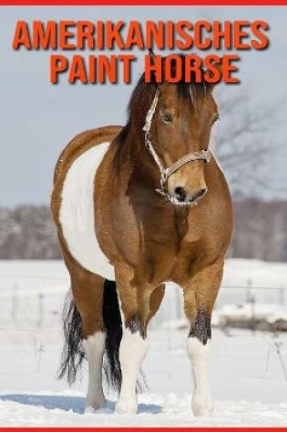 Cover of Amerikanisches Paint Horse