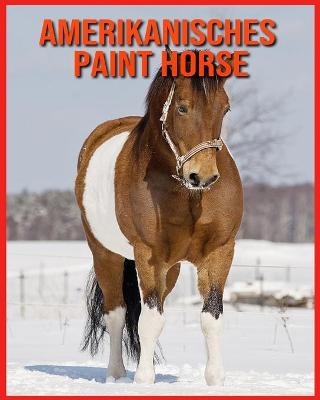 Book cover for Amerikanisches Paint Horse