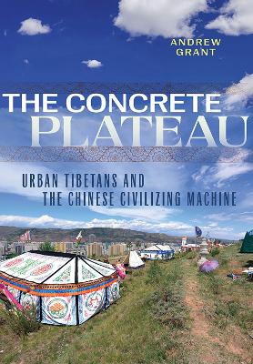 Book cover for The Concrete Plateau