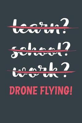 Book cover for Learn? School? Work? Drone Flying!