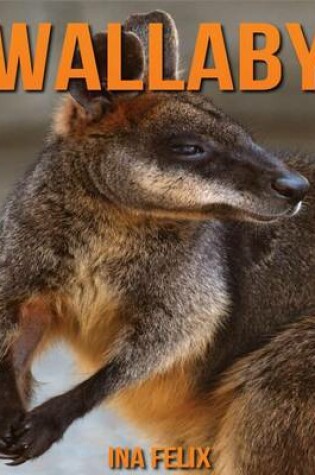 Cover of Wallaby