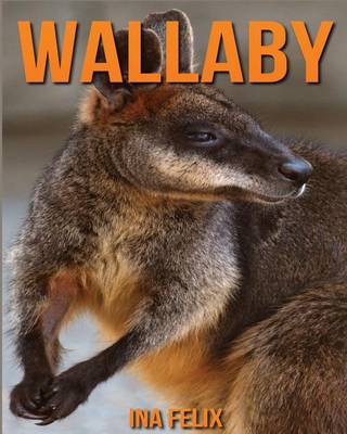 Cover of Wallaby