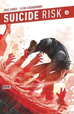 Book cover for Suicide Risk #16