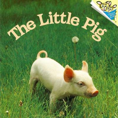 Book cover for The Little Pig