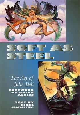Book cover for Soft as Steel