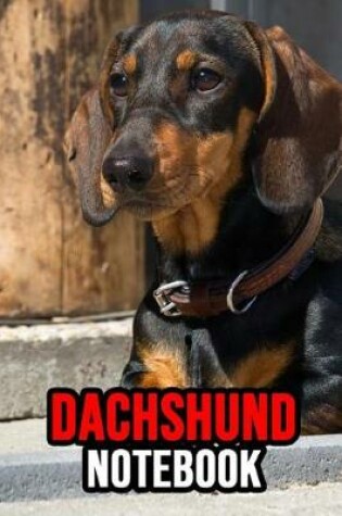 Cover of Dachshund Notebook