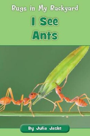 Cover of I See Ants