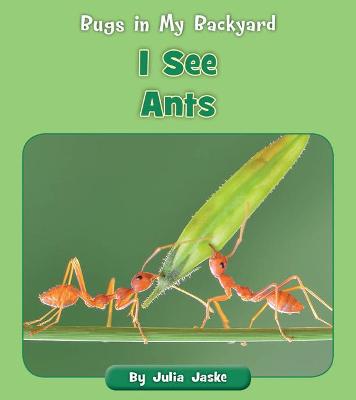 Cover of I See Ants