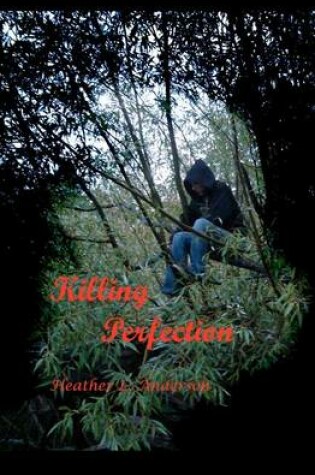 Cover of Killing Perfection