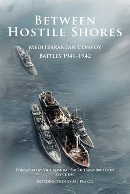 Book cover for Between Hostile Shores