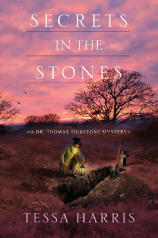 Cover of Secrets in the Stones