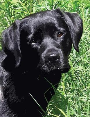 Book cover for Black Labrador Puppy Notebook