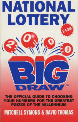 Book cover for The National Lottery Big Draw 2000