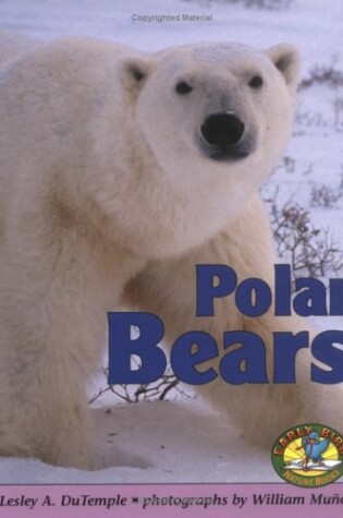 Cover of Polar Bears