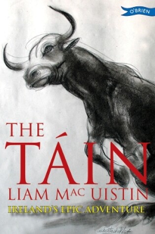 Cover of The Táin