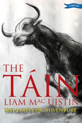 Book cover for The Táin